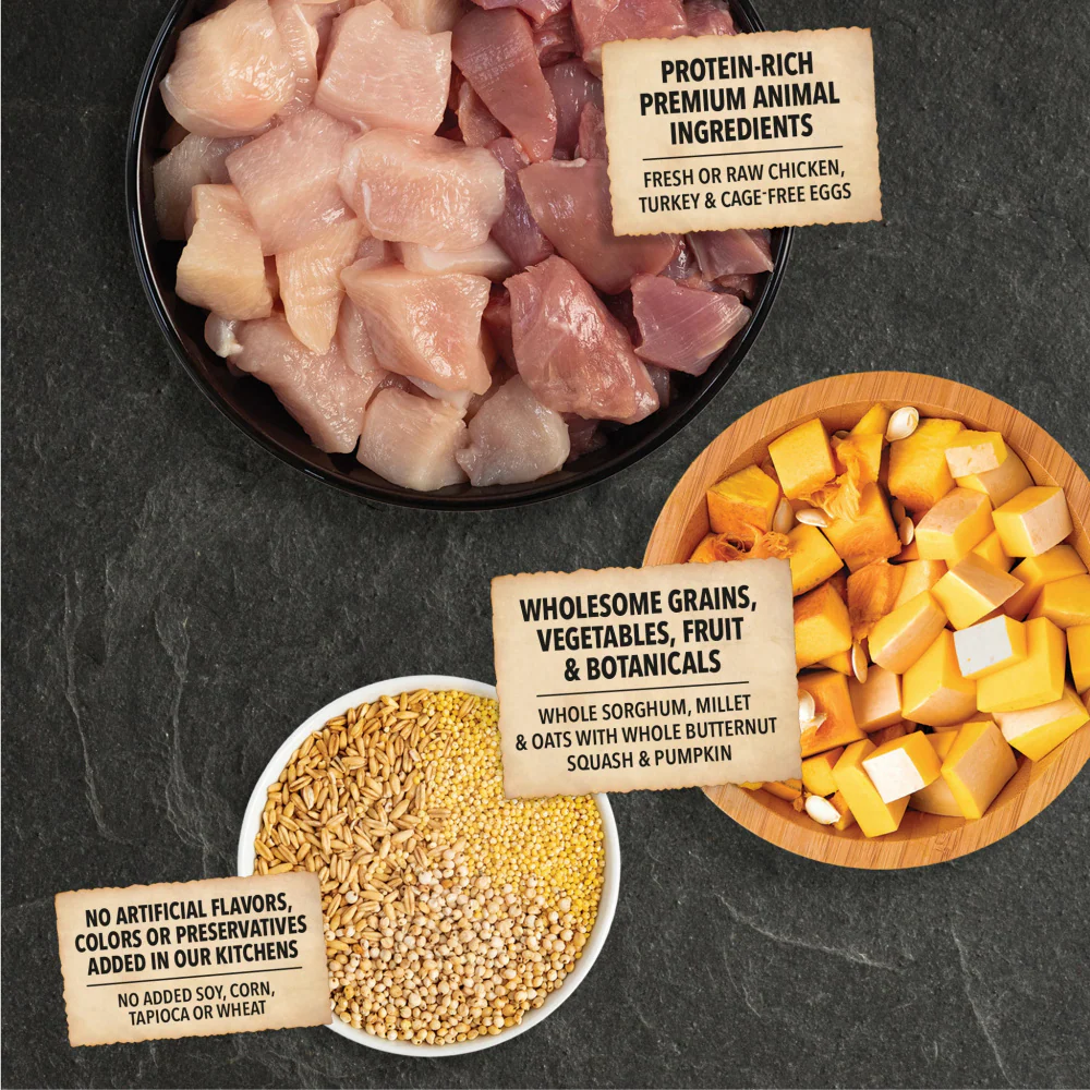 ACANA Wholesome Grains Free-Run Poultry & Grains Recipe Dry Dog Food - Image 4