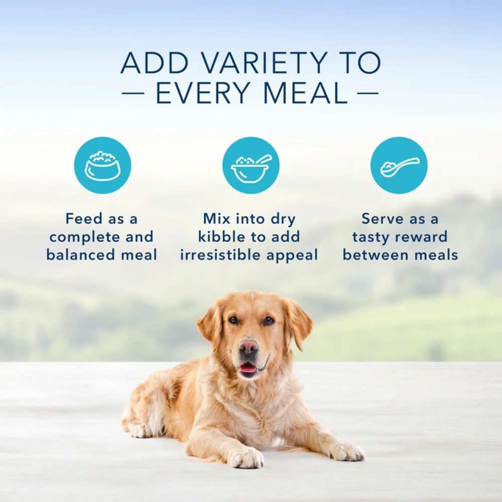 Blue Buffalo Homestyle Recipe Adult Fish & Sweet Potato Dinner with Garden Vegetables Canned Dog Food - Image 5