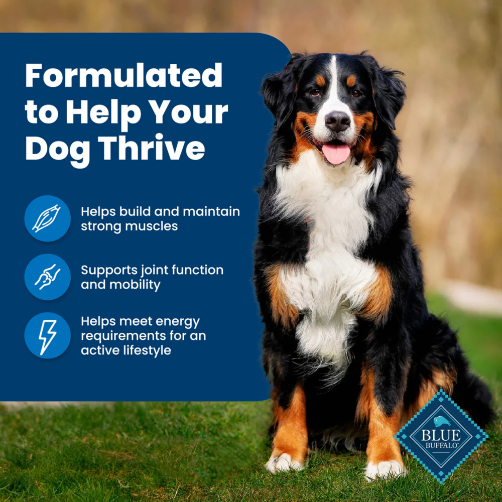 Blue Buffalo Life Protection Formula Adult Chicken & Brown Rice Recipe Dry Dog Food - Image 4