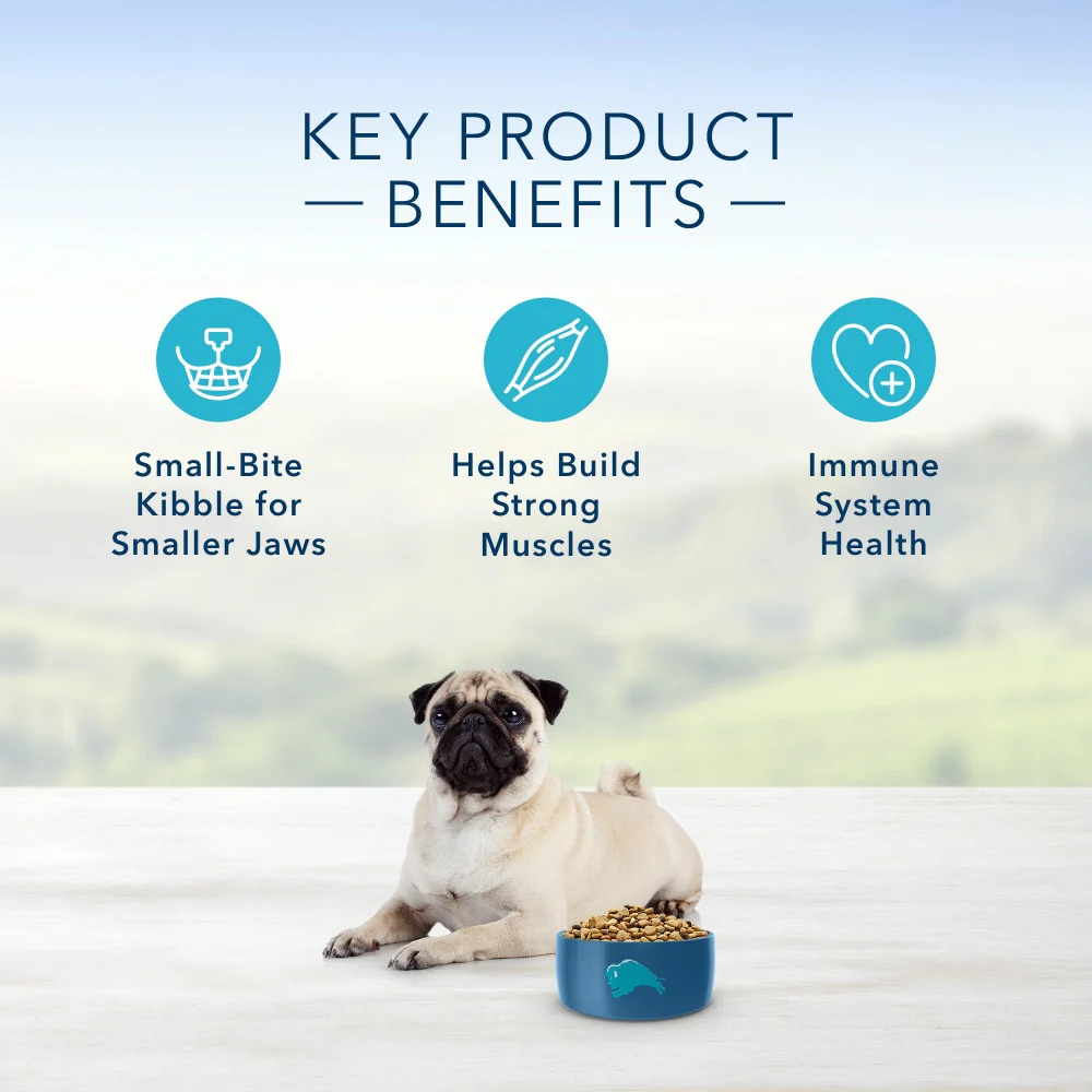 Blue Buffalo Life Protection Formula Small Bite Adult Chicken & Brown Rice Recipe Dry Dog Food - Image 3