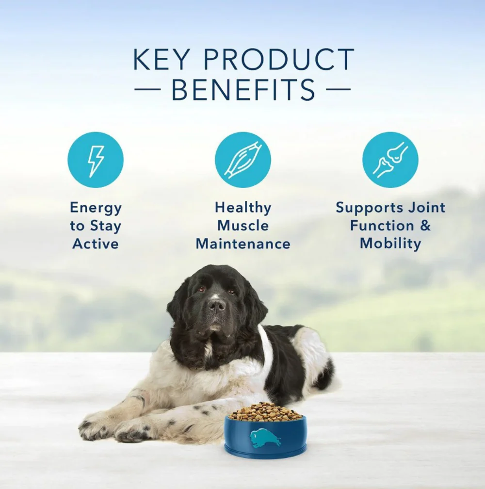 Blue Buffalo Life Protection Formula Large Breed Senior Chicken & Brown Rice Recipe Dry Dog Food - Image 3