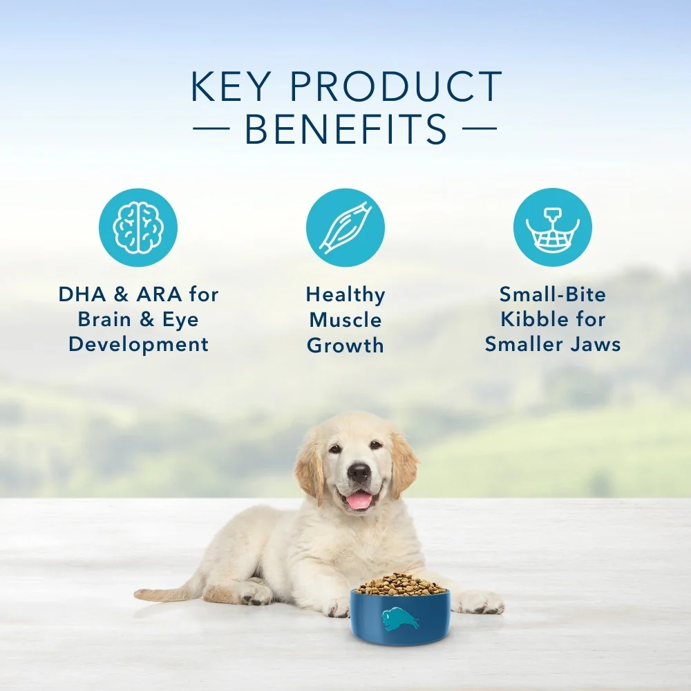 Blue Buffalo Life Protection Formula Puppy Chicken & Brown Rice Recipe Dry Dog Food - Image 5