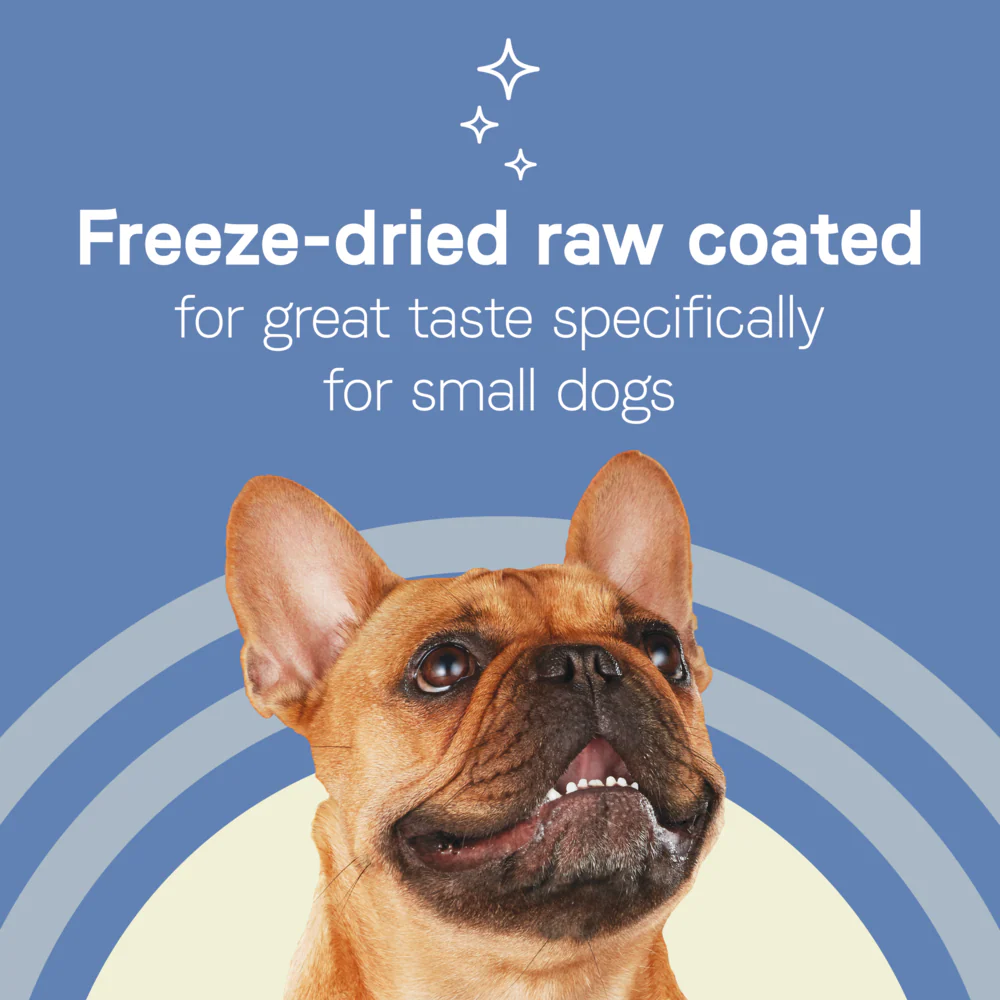 Canidae Pure Petite Premium Recipe with Chicken and Wholesome Grains Dry Dog Food - Image 3