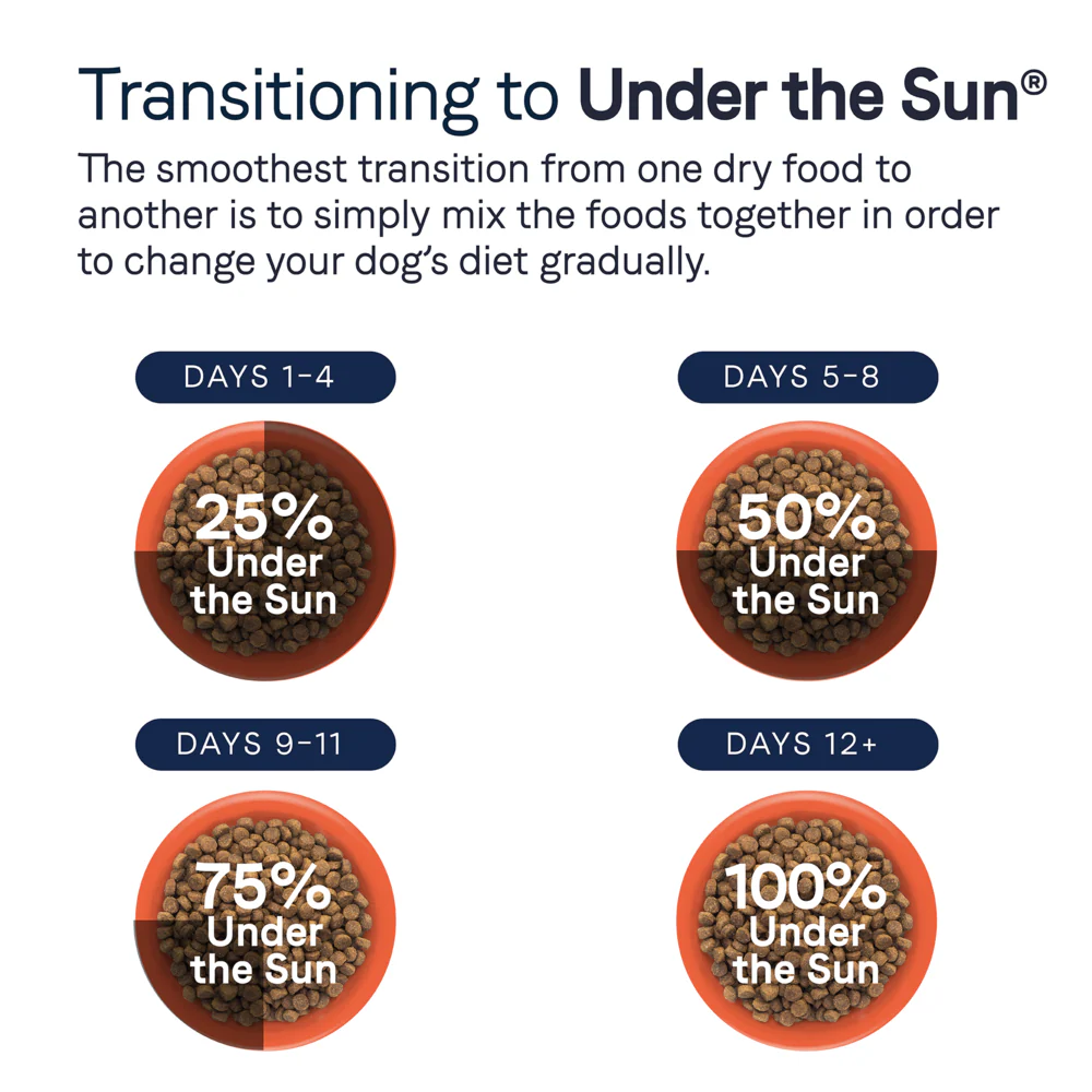 Canidae Under the Sun Grain Free Adult Chicken Recipe Dry Dog Food - Image 3