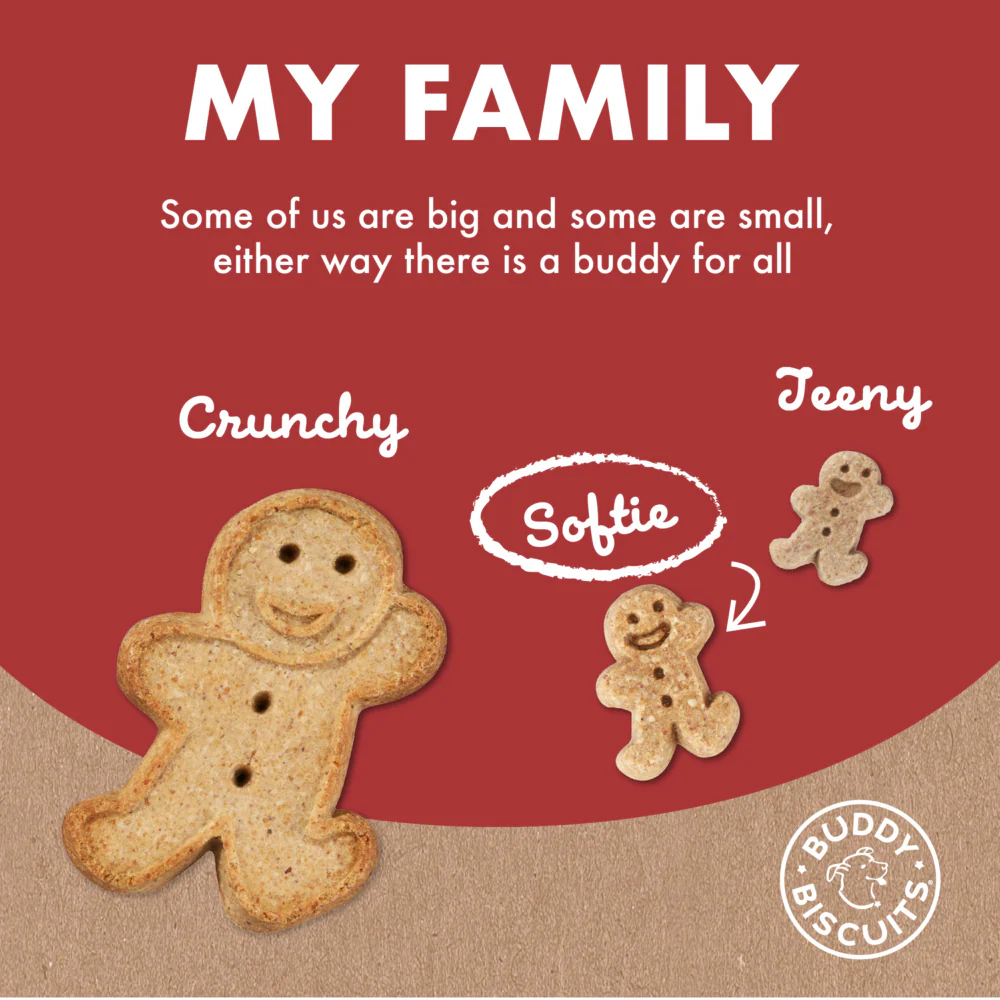 Buddy Biscuits Softies Soft & Chewy Grain Free Beef Dog Treats - Image 7