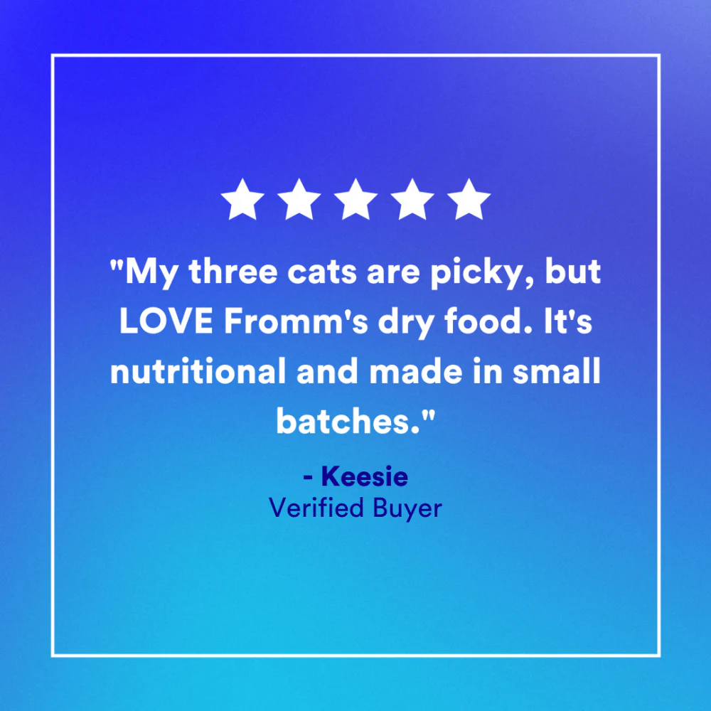 Fromm Four Star Game Bird Grain Free Recipe Dry Cat Food - Image 4