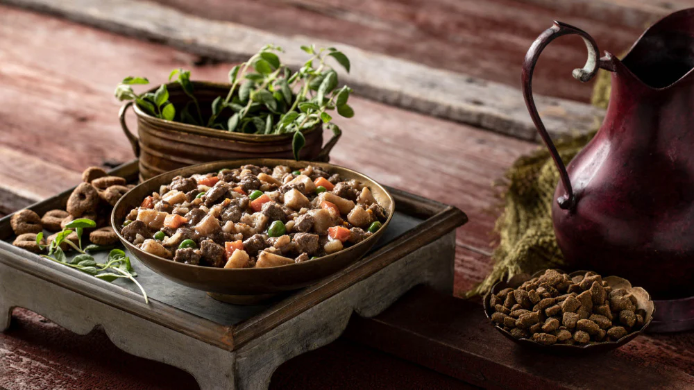 Fromm Family Recipes Frommbalaya Beef, Vegetable, & Rice Stew Canned Dog Food - Image 2