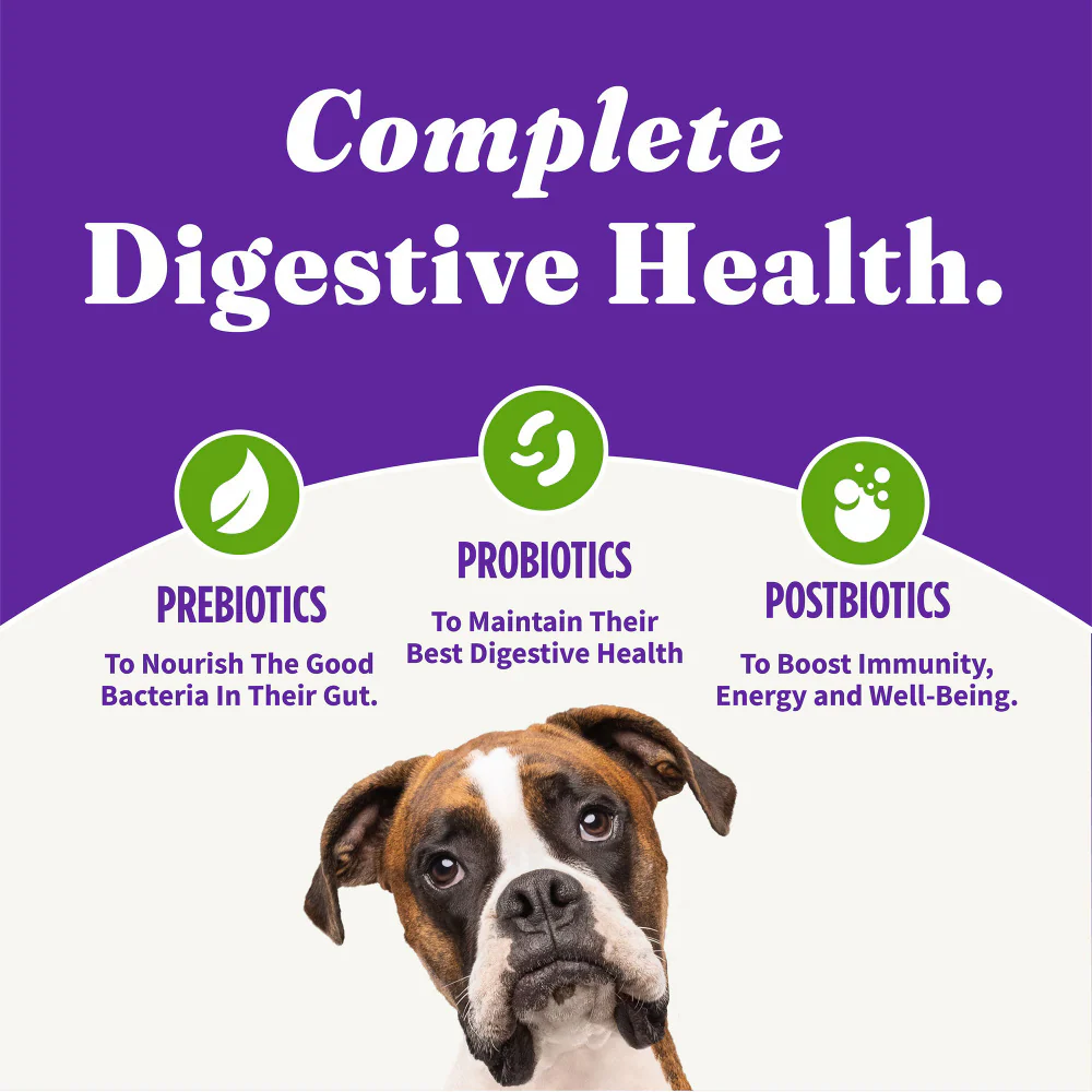 Halo Holistic Adult Dog Vegan Plant-Based Recipe with Superfoods Dry Dog Food - Image 9