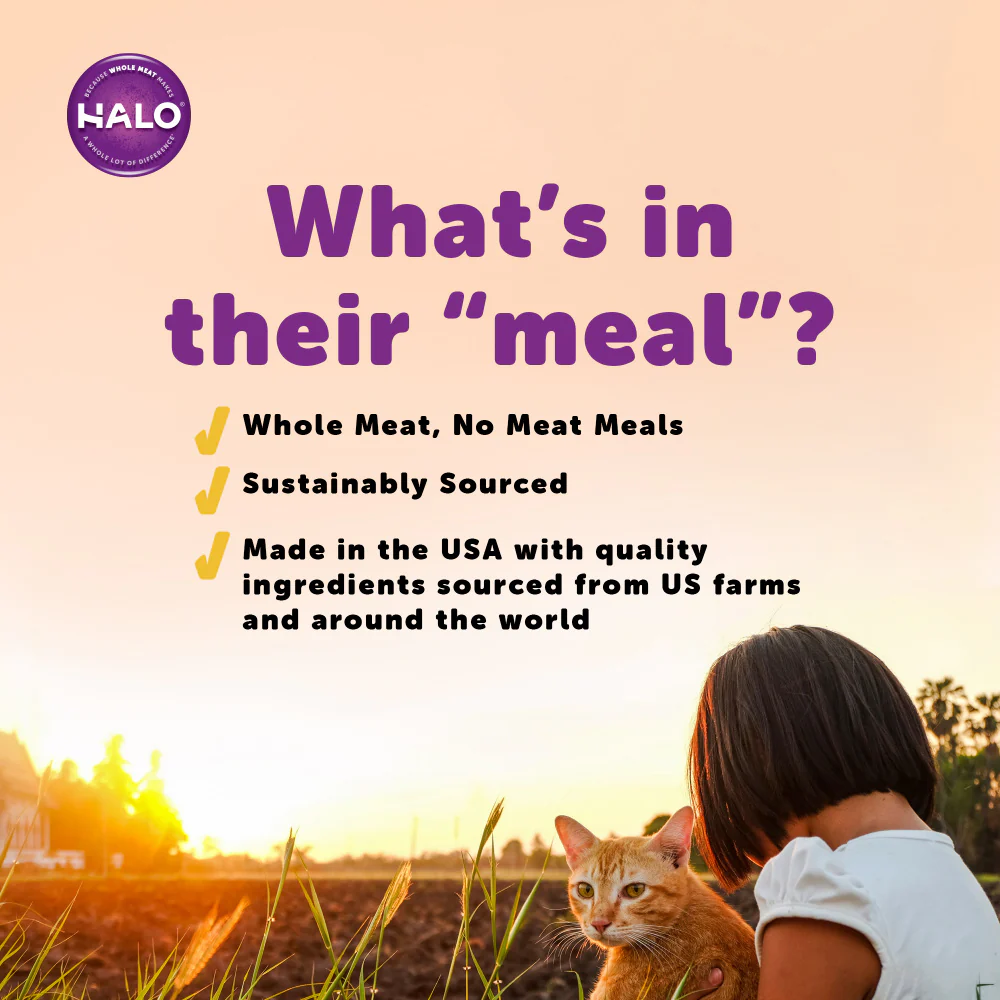 Halo Holistic Grain Free Adult Chicken Stew Canned Cat Food - Image 4