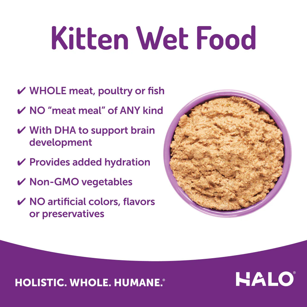 Halo Kitten Grain Free Chicken Recipe Pate Canned Cat Food - Image 3