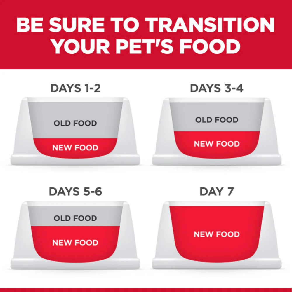 Hill's Science Diet Kitten Chicken Recipe Dry Cat Food - Image 5