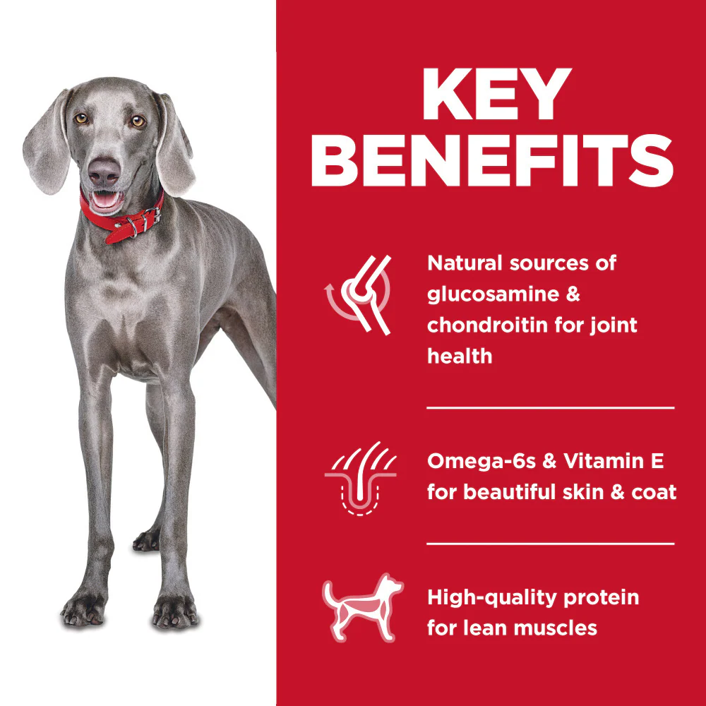 Hill's Science Diet Adult LG Breed No Corn, Wheat, or Soy Chicken & Brown Rice Recipe Dry Dog Food - Image 5