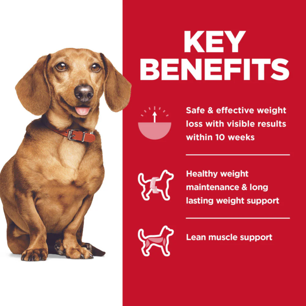 Hill's Science Diet Adult Perfect Weight SM & Mini Chicken Recipe Dry Dog Food - Image 6
