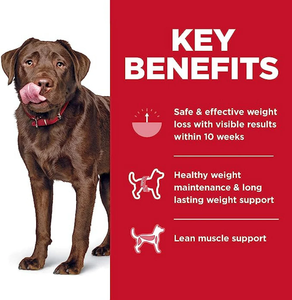 Hill's Science Diet Adult Perfect Weight LG Breed Dry Dog Food - Image 3