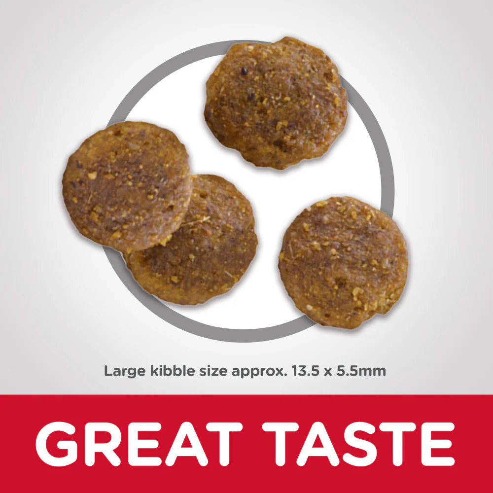 Hill's Science Diet Puppy LG Breed Lamb Meal & Brown Rice Recipe Dry Dog Food - Image 6