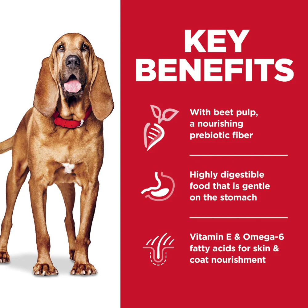Hill's Science Diet Sensitive Stomach & Skin LG Breed Adult Chicken & Barley Recipe Dry Dog Food - Image 5