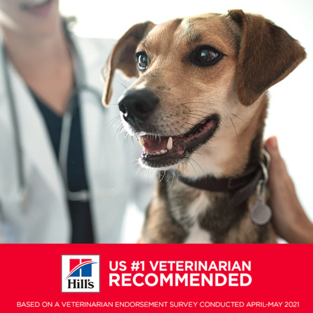 Hill's Science Diet Sensitive Stomach & Skin Adult SM Bites Chicken Recipe Dry Dog Food - Image 6