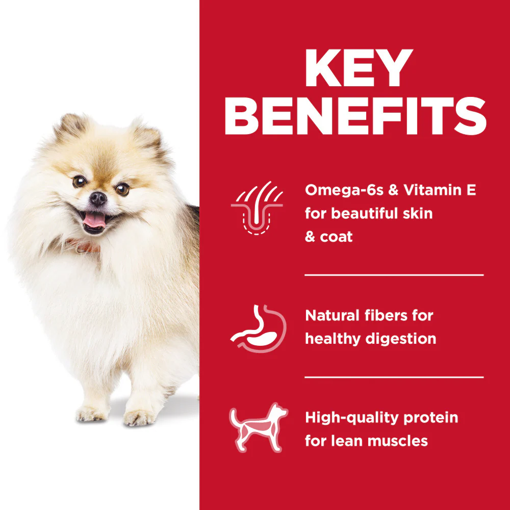 Hill's Science Diet Adult SM Bites No Corn, Wheat, or Soy Chicken & Brown Rice Recipe Dry Dog Food - Image 3