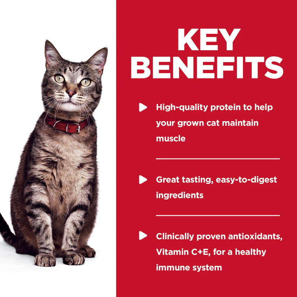 Hill's Science Diet Tender Tuna Dinner Adult Wet Cat Food - Image 2