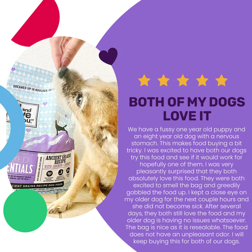 I and Love and You Naked Essentials Ancient Grain Chicken & Turkey Recipe Dry Dog Food - Image 4