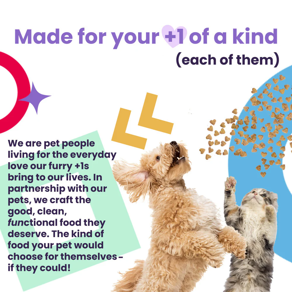 I and Love and You Naked Essentials Ancient Grain Chicken & Turkey Recipe Dry Dog Food - Image 5