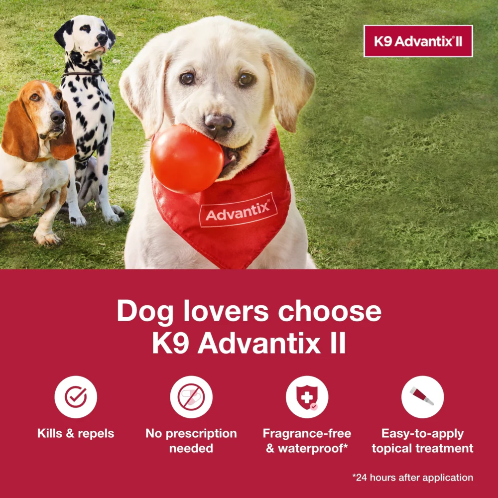 K9 Advantix II Small Dog - Image 6
