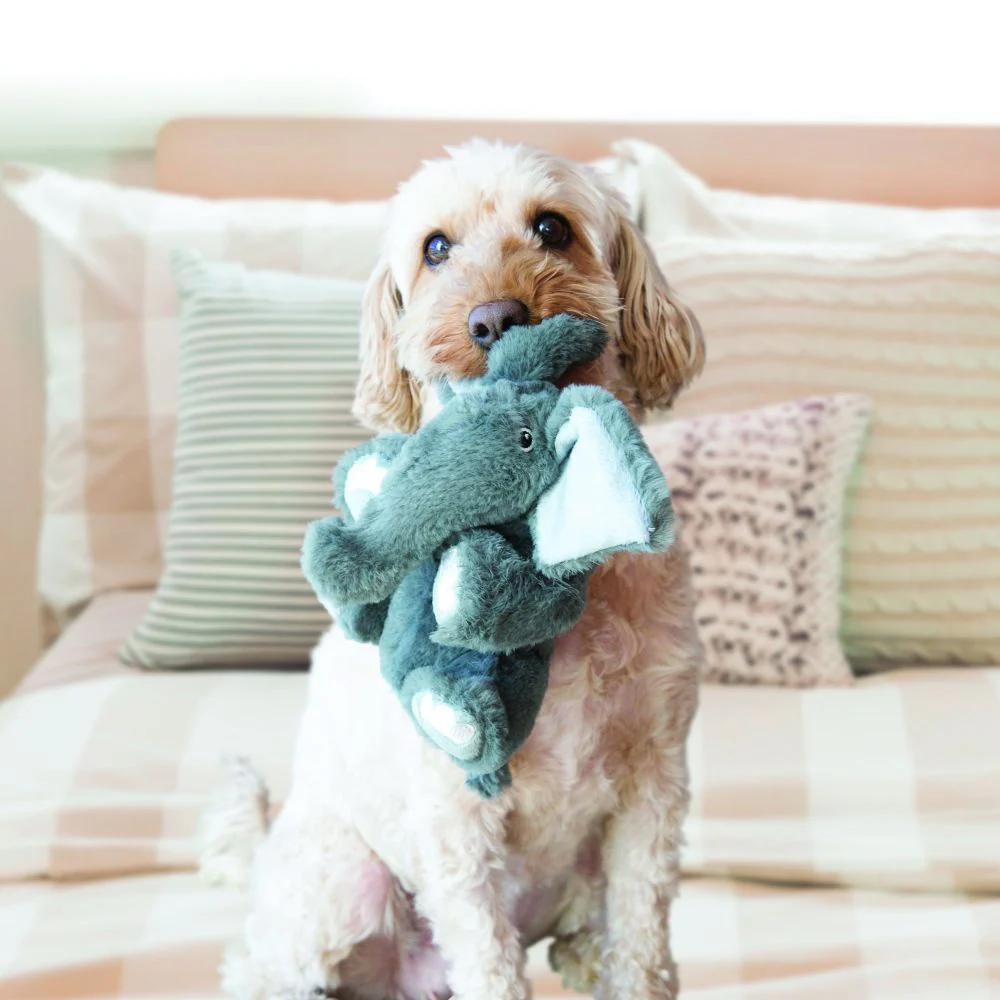 KONG Comfort Kiddos Elephant Plush Dog Toy - Image 3