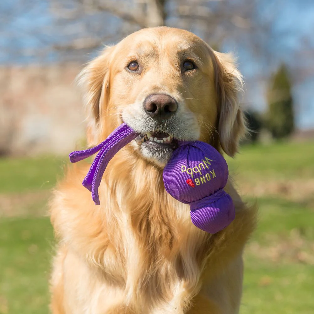 KONG Wubba Classic Dog Toy - Image 3