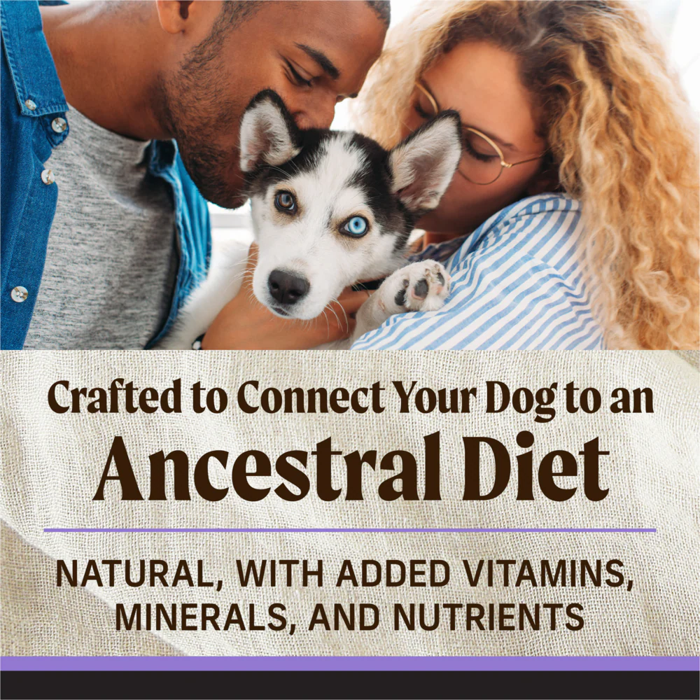 Merrick Backcountry Raw Infused Grain Free Puppy Food Recipe Freeze Dried Dog Food - Image 7