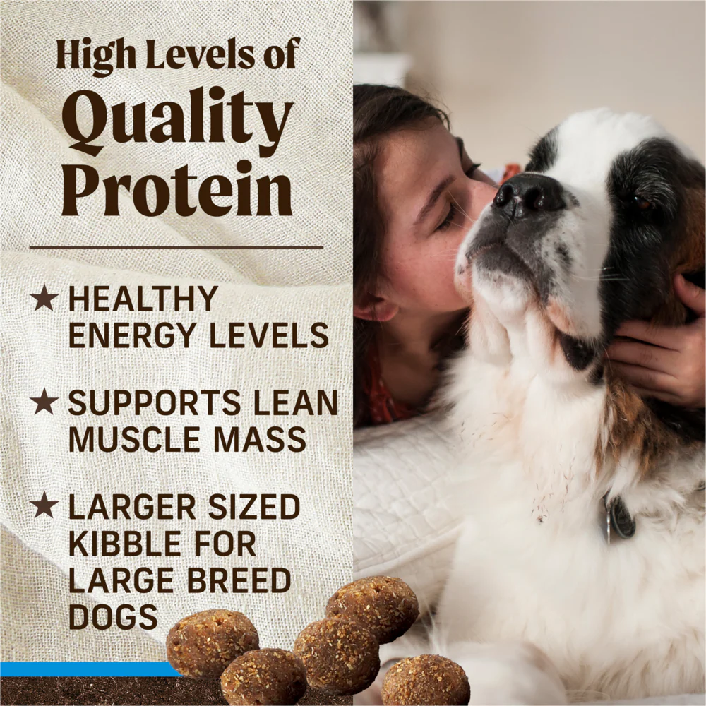 Merrick Grain Free Premium Large Breed Dry Dog Food Wholesome And Natural Kibble Chicken And Sweet Potato - Image 6