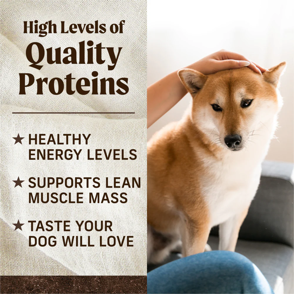 Merrick Premium Grain Free Dry Adult Dog Food Wholesome And Natural Kibble Real Texas Beef And Sweet Potato - Image 4