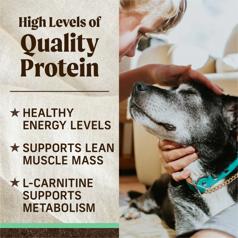 Merrick Senior Dry Dog Food Real Chicken & Sweet Potato Grain Free Dog Food Recipe - Image 5