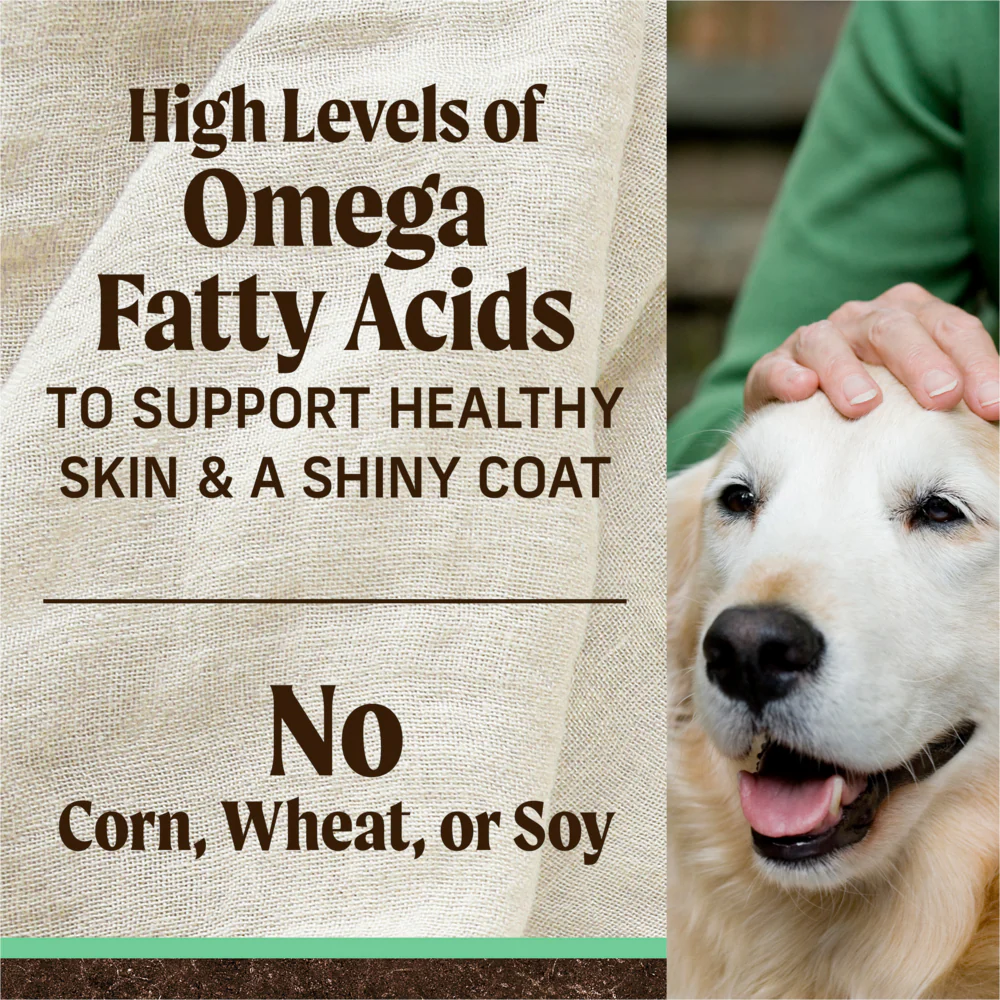 Merrick Senior Dry Dog Food Real Chicken & Sweet Potato Grain Free Dog Food Recipe - Image 9