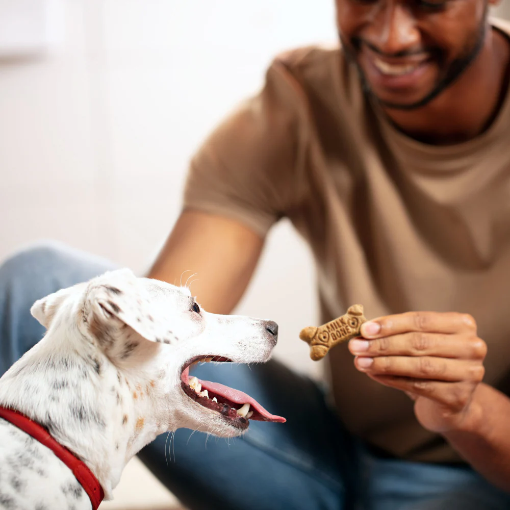 Milk-Bone Flavor Snacks for Small/Medium Dogs - Image 6