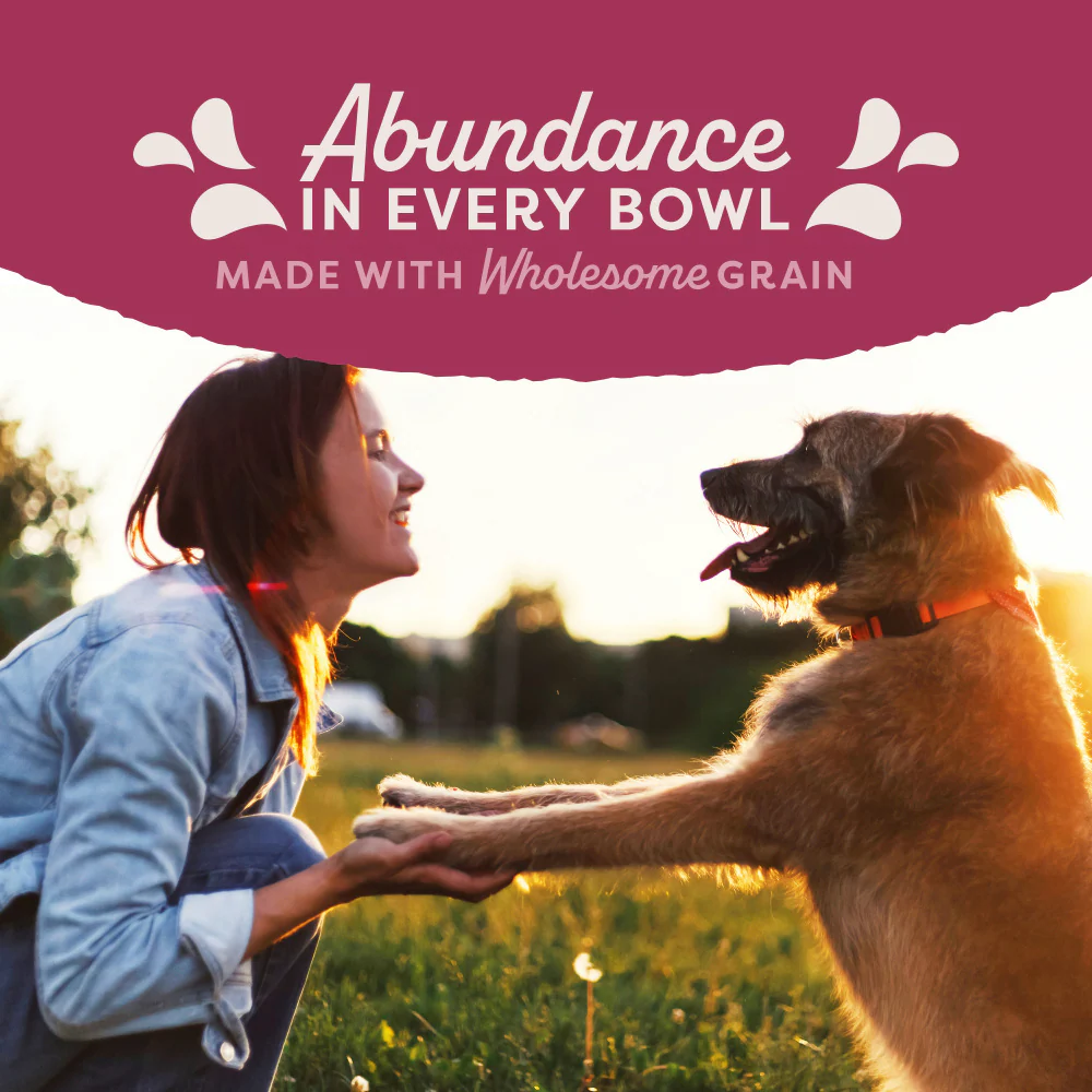 Natural Balance Fat Dogs Targeted Nutrition Chicken & Salmon Formula Wet Dog Food - Image 6