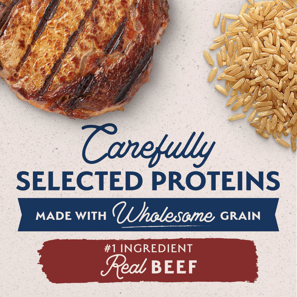 Natural Balance Limited Ingredient Beef & Brown Rice Recipe Dry Dog Food - Image 4