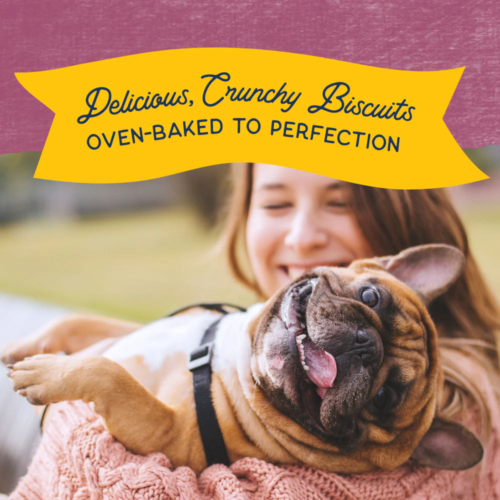 Natural Balance Rewards Crunchy Biscuits With Real Venison Dog Treats - Image 5