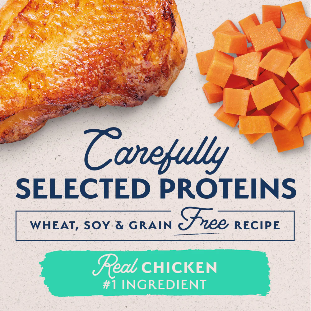 Natural Balance Limited Ingredient Grain Free Chicken & Sweet Potato Recipe Wet Canned Dog Food - Image 7