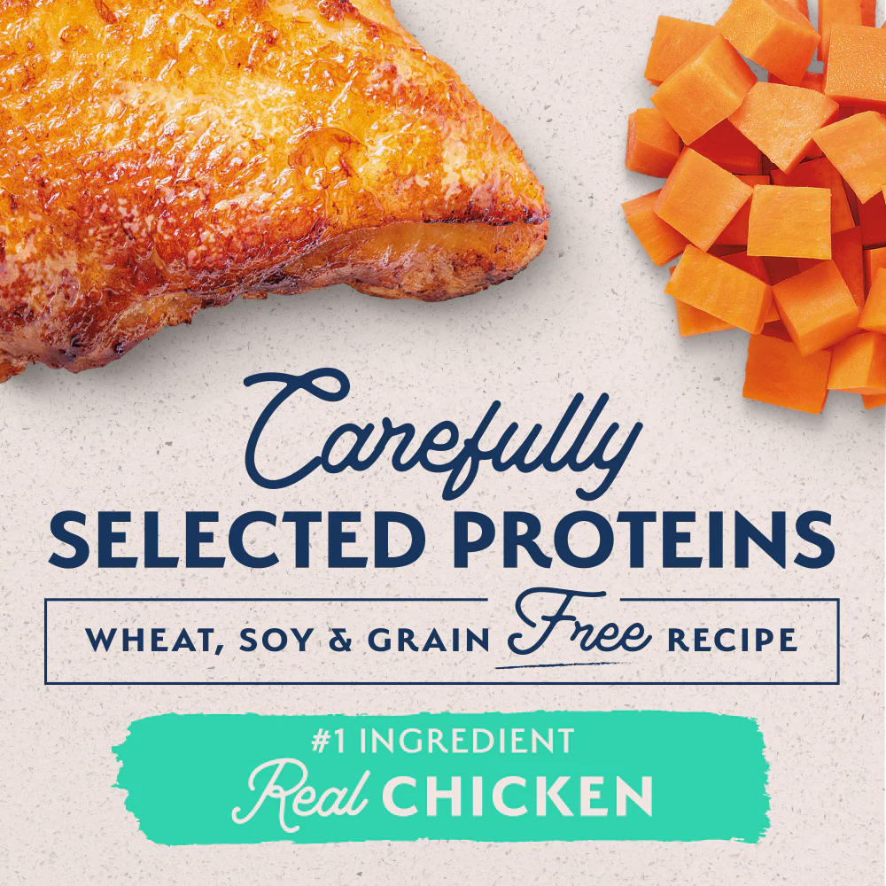 Natural Balance Limited Ingredient Grain Free Chicken & Sweet Potato Small Breed Recipe Dry Dog Food - Image 5