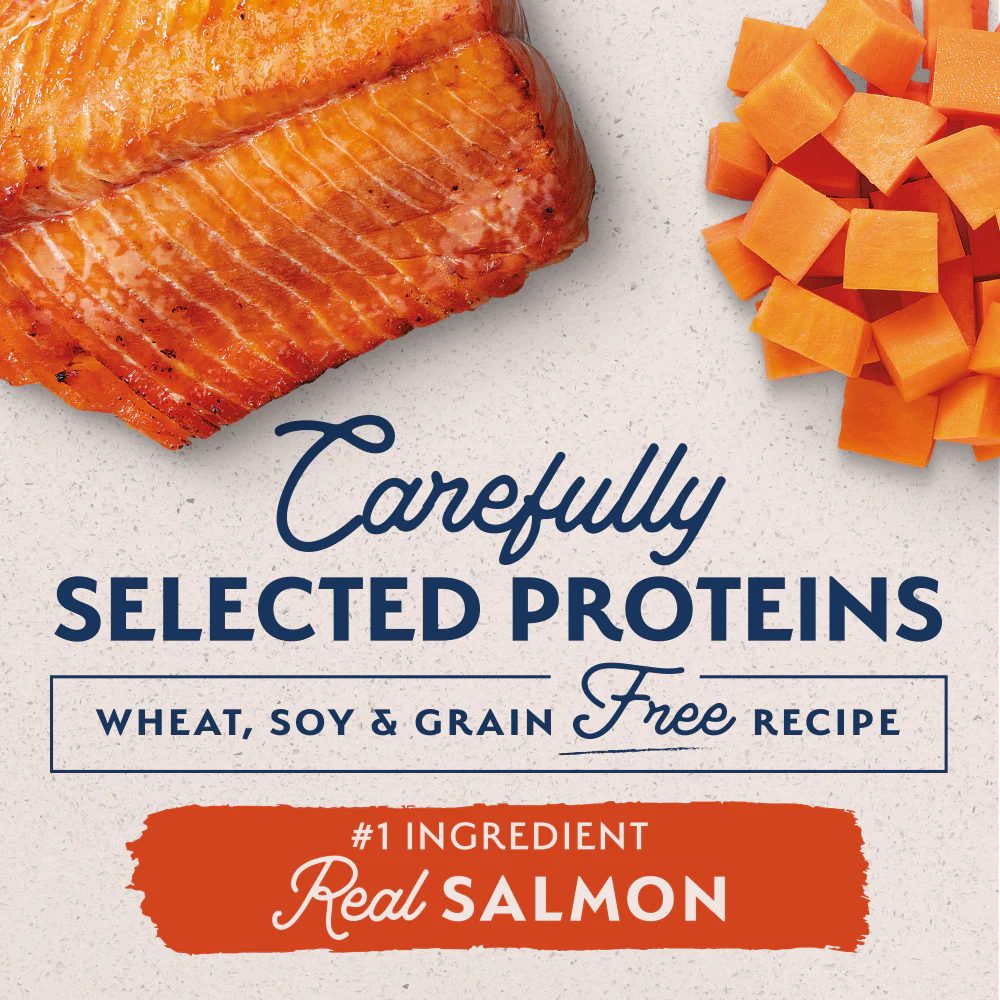 Natural Balance Limited Ingredient Grain Free Salmon & Sweet Potato Small Breed Recipe Dry Dog Food - Image 5