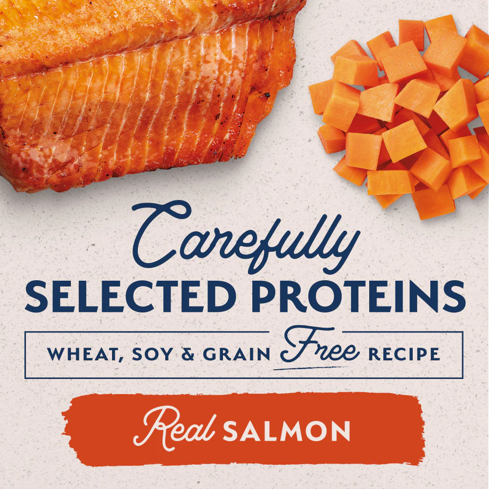 Natural Balance Limited Ingredient Grain Free Sweet Potato & Salmon Recipe Wet Canned Dog Food - Image 9