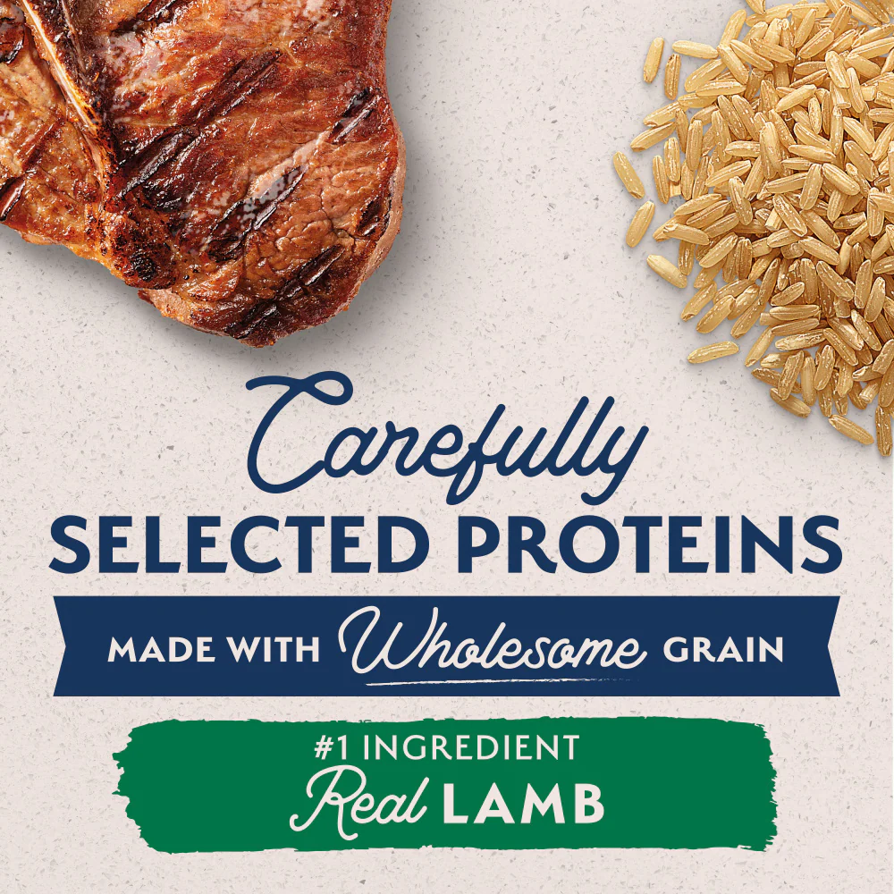 Natural Balance Limited Ingredient Lamb & Brown Rice Recipe Dry Dog Food - Image 5
