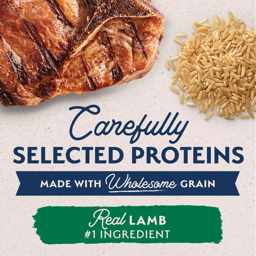 Natural Balance Limited Ingredient Lamb & Brown Rice Recipe Wet Canned Dog Food - Image 7