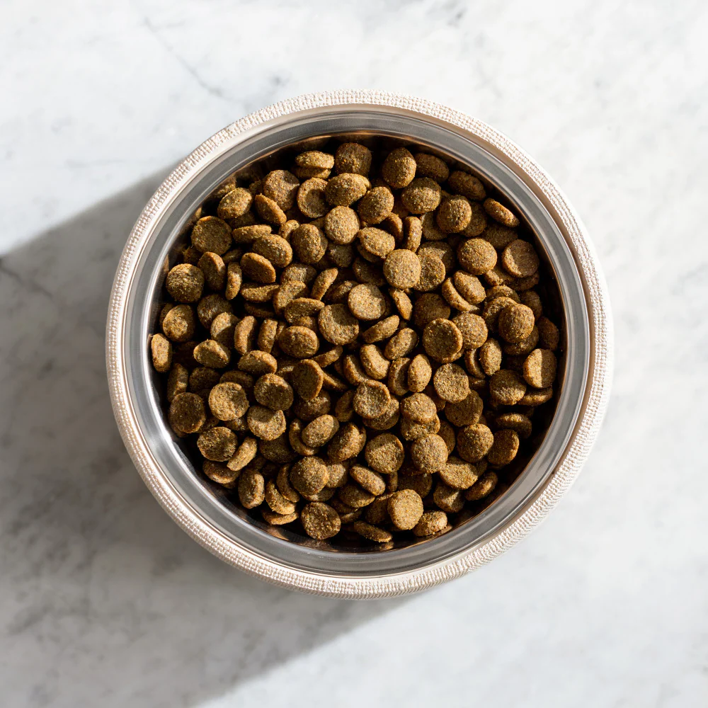 Natural Balance Original Ultra Grain Free Chicken Recipe Dry Dog Food - Image 6