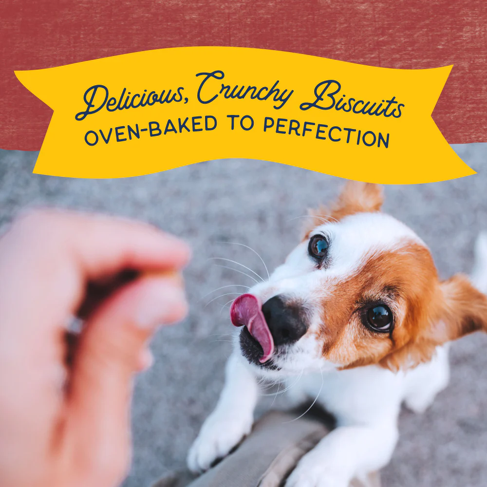 Natural Balance Rewards Crunchy Biscuits With Real Bison Small Breed  Dog Treats - Image 4