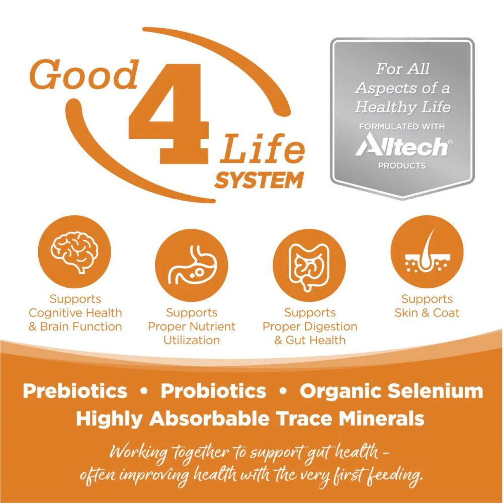 NutriSource Lamb Meal & Rice Dry Dog Food - Image 3