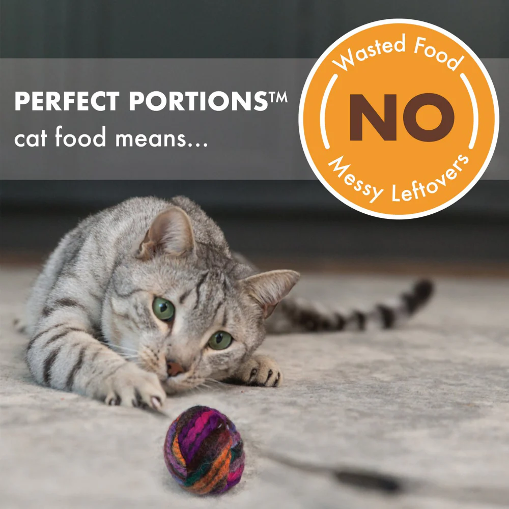 Nutro Perfect Portions Grain Free Cuts In Gravy Real Chicken Recipe Wet Cat Food Trays - Image 5