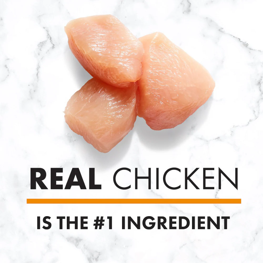 Nutro Wholesome Essentials Puppy Farm-Raised Chicken, Brown Rice & Sweet Potato Dry Dog Food - Image 3