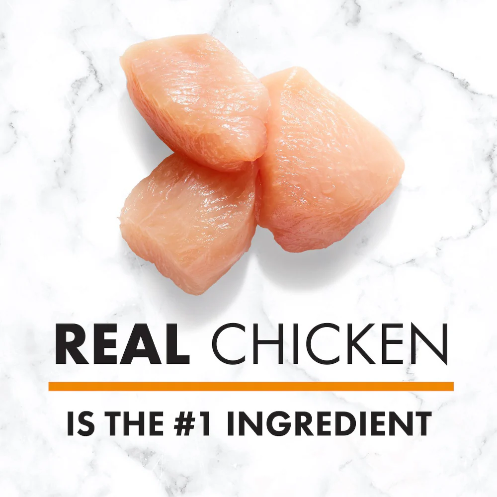 Nutro Wholesome Essentials Small Bites Chicken, Whole Brown Rice and Sweet Potato Dry Dog Food - Image 4