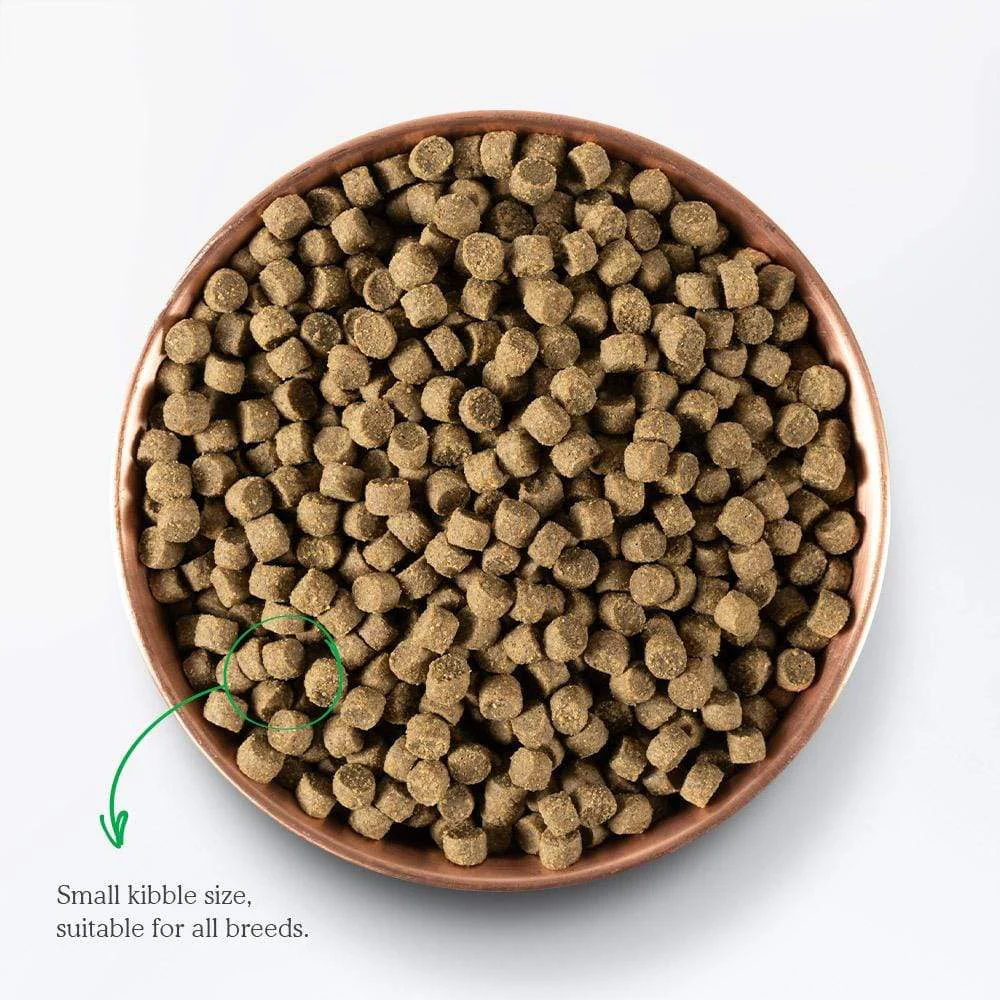 Open Farm Ancient Grains Puppy Dry Dog Food - Image 3